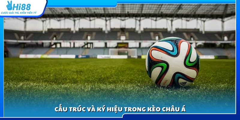 Phân tích bố cục bảng kèo và ý nghĩa các ký hiệu 